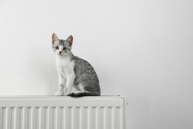 Photo of Cute little kitten on radiator near white wall, space for text