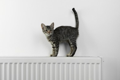 Photo of Cute little kitten on radiator near white wall