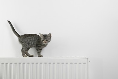 Photo of Cute little kitten on radiator near white wall, space for text