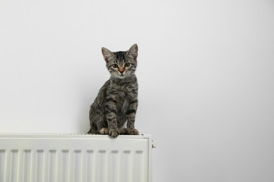 Photo of Cute little kitten on radiator near white wall, space for text