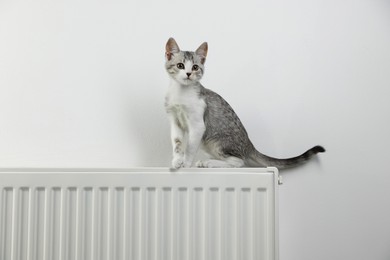 Photo of Cute little kitten on radiator near white wall