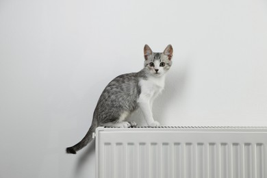 Photo of Cute little kitten on radiator near white wall