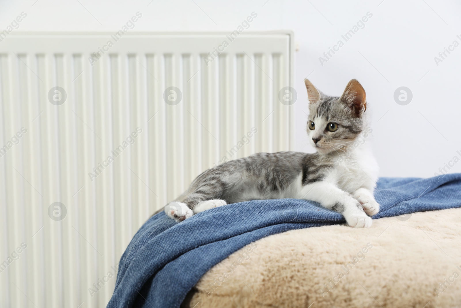 Photo of Cute little kitten on pouf near radiator at home