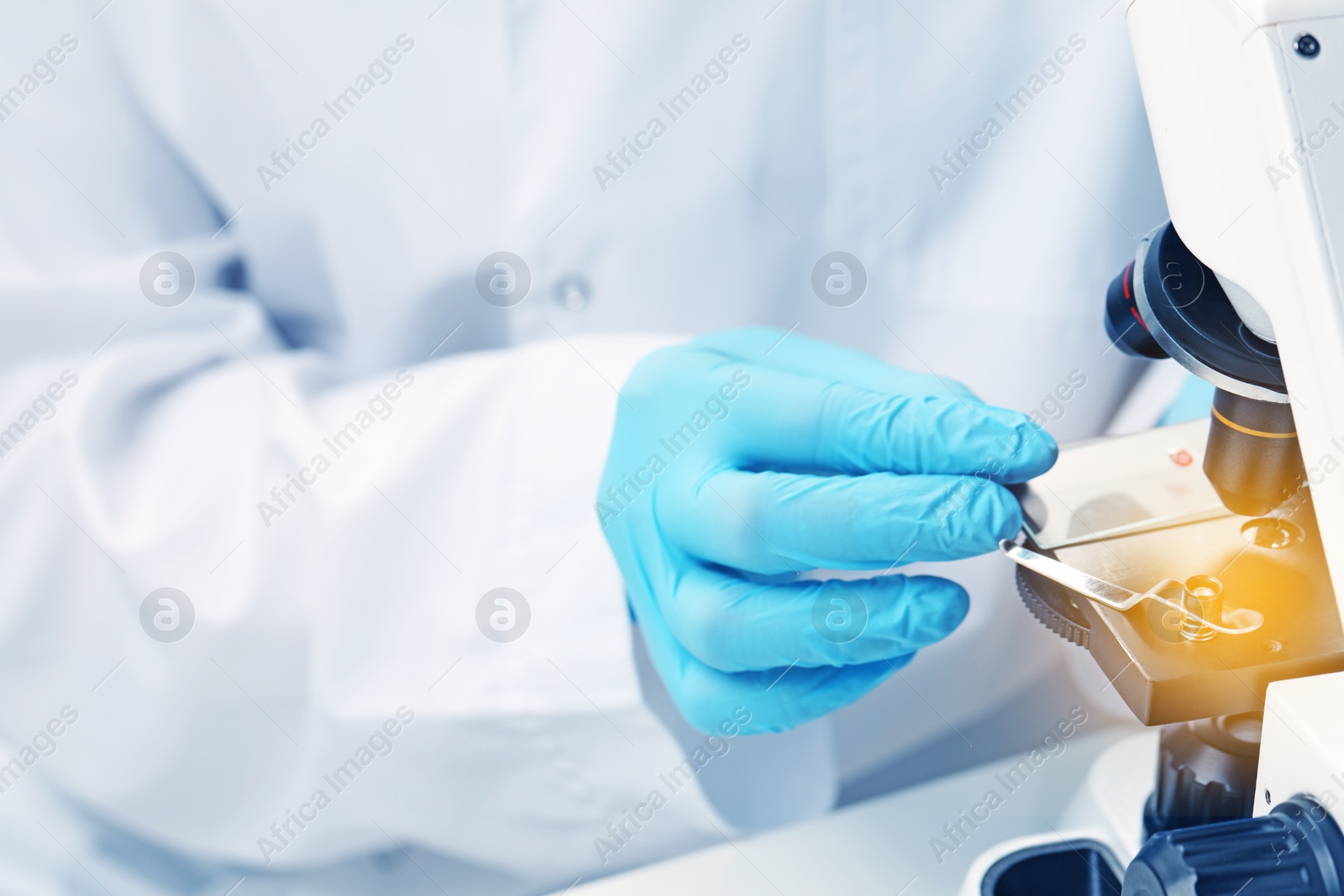 Photo of Scientist examining sample on slide under microscope, closeup