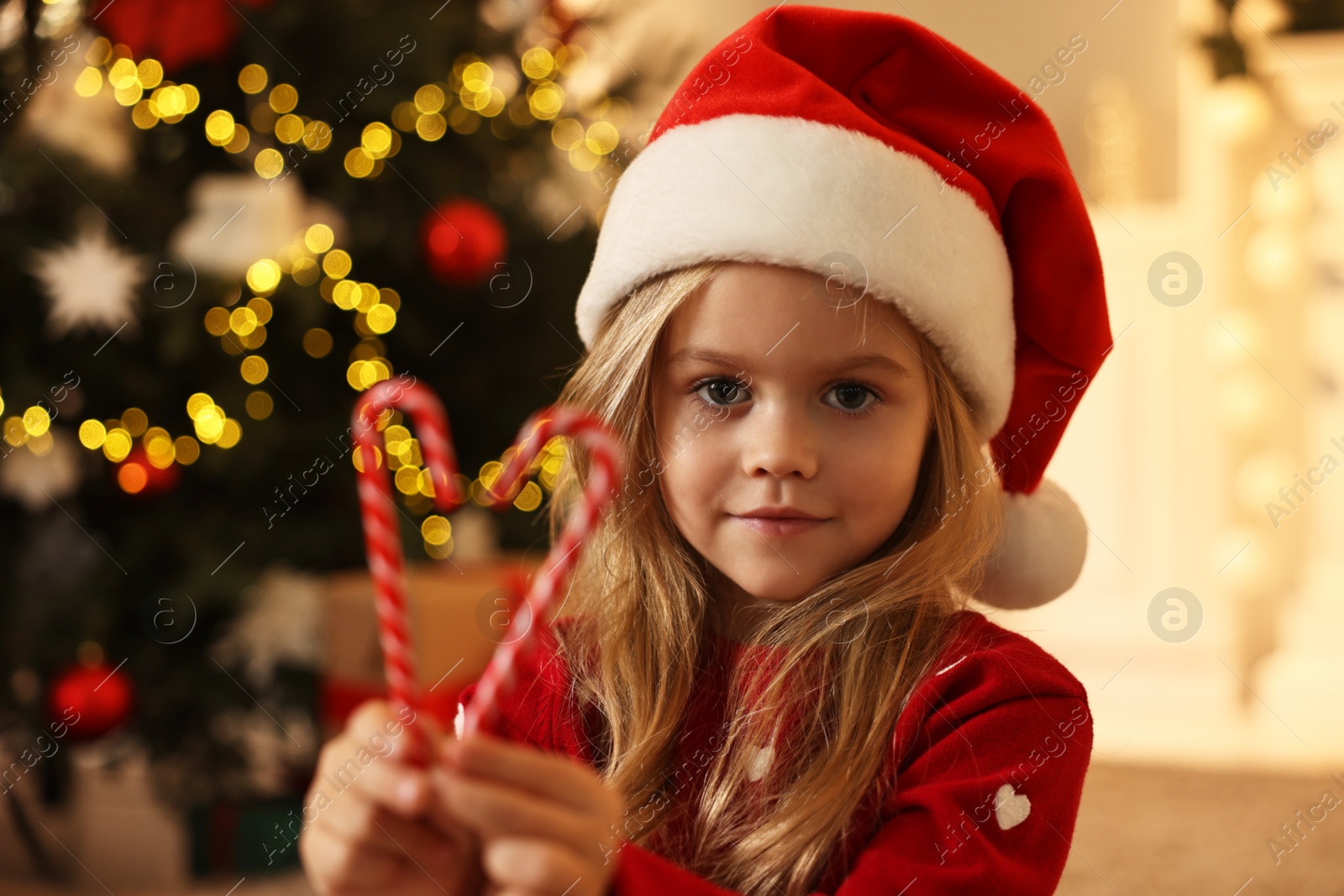 Photo of Little girl in Santa hat with candy canes at home. Christmas celebration