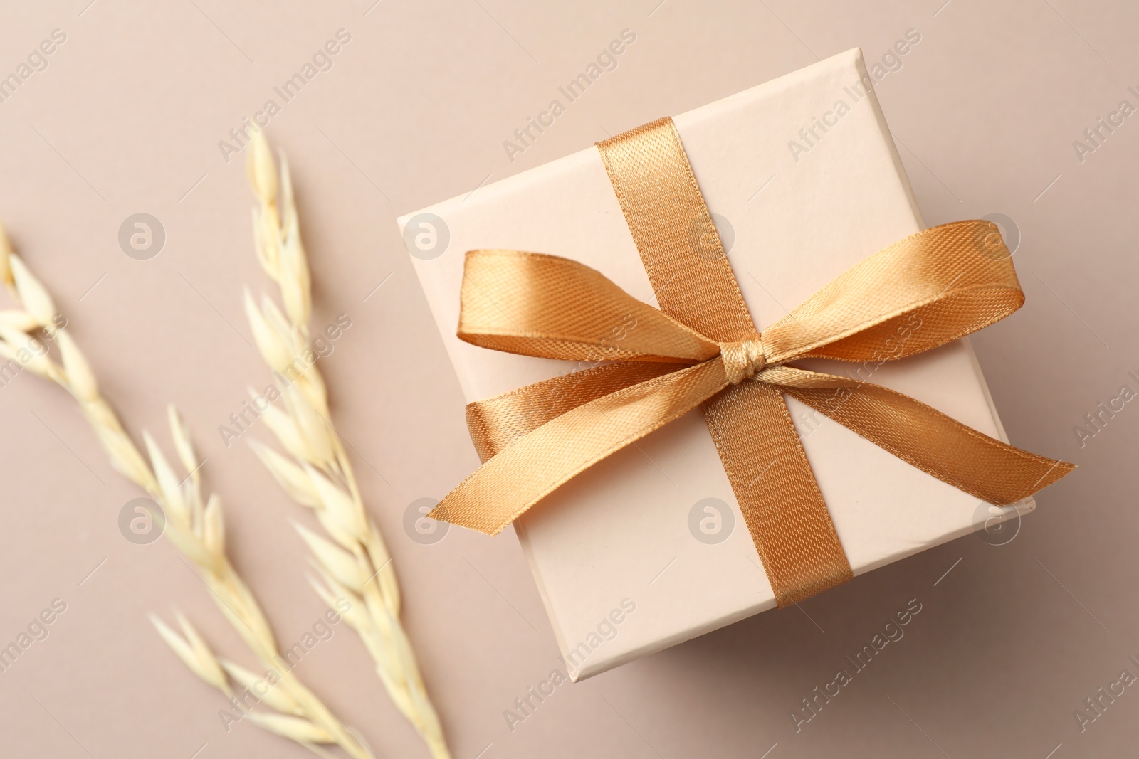 Photo of Gift box with golden bow and spikes on beige background, flat lay