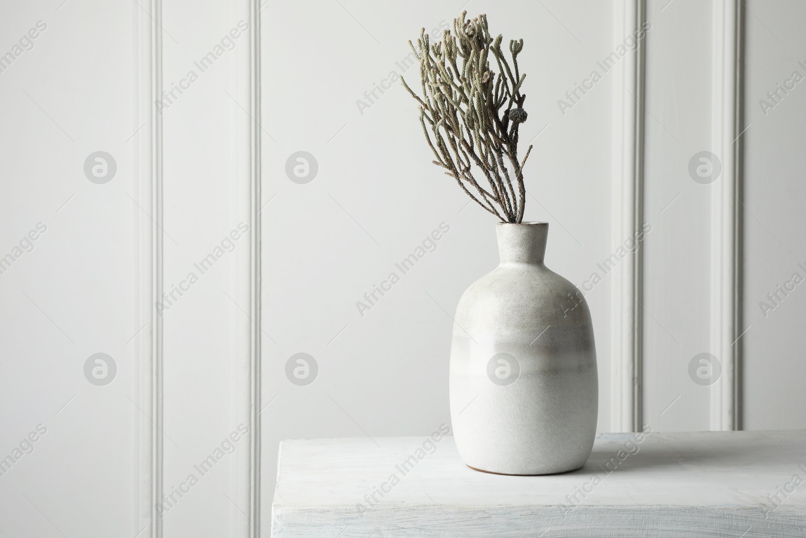 Photo of Stylish vase with brunia plants on white table, space for text