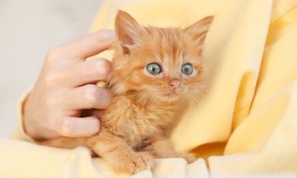 Photo of Teenage boy with his cute ginger kitten indoors, closeup