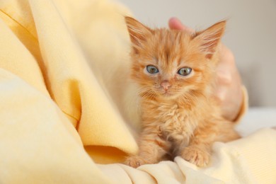 Photo of Teenage boy with his cute ginger kitten indoors, closeup