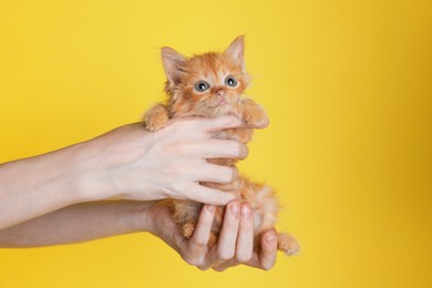 Photo of Teenage boy holding cute ginger kitten on yellow background, closeup