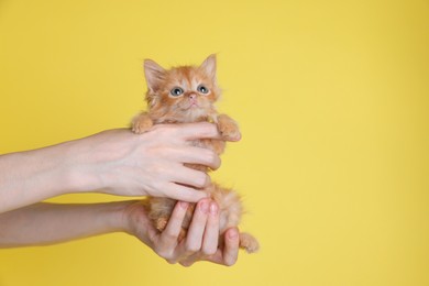 Photo of Teenage boy holding cute ginger kitten on yellow background, closeup. Space for text