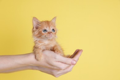 Photo of Teenage boy holding cute ginger kitten on yellow background, closeup. Space for text