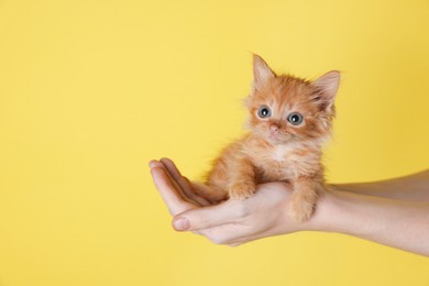 Photo of Teenage boy holding cute ginger kitten on yellow background, closeup. Space for text