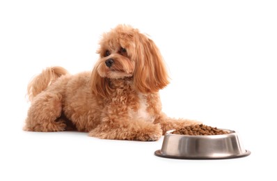 Photo of Feeding bowl with dry pet food and cute dog on white background