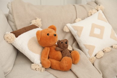 Photo of Cute stuffed bears on sofa at home