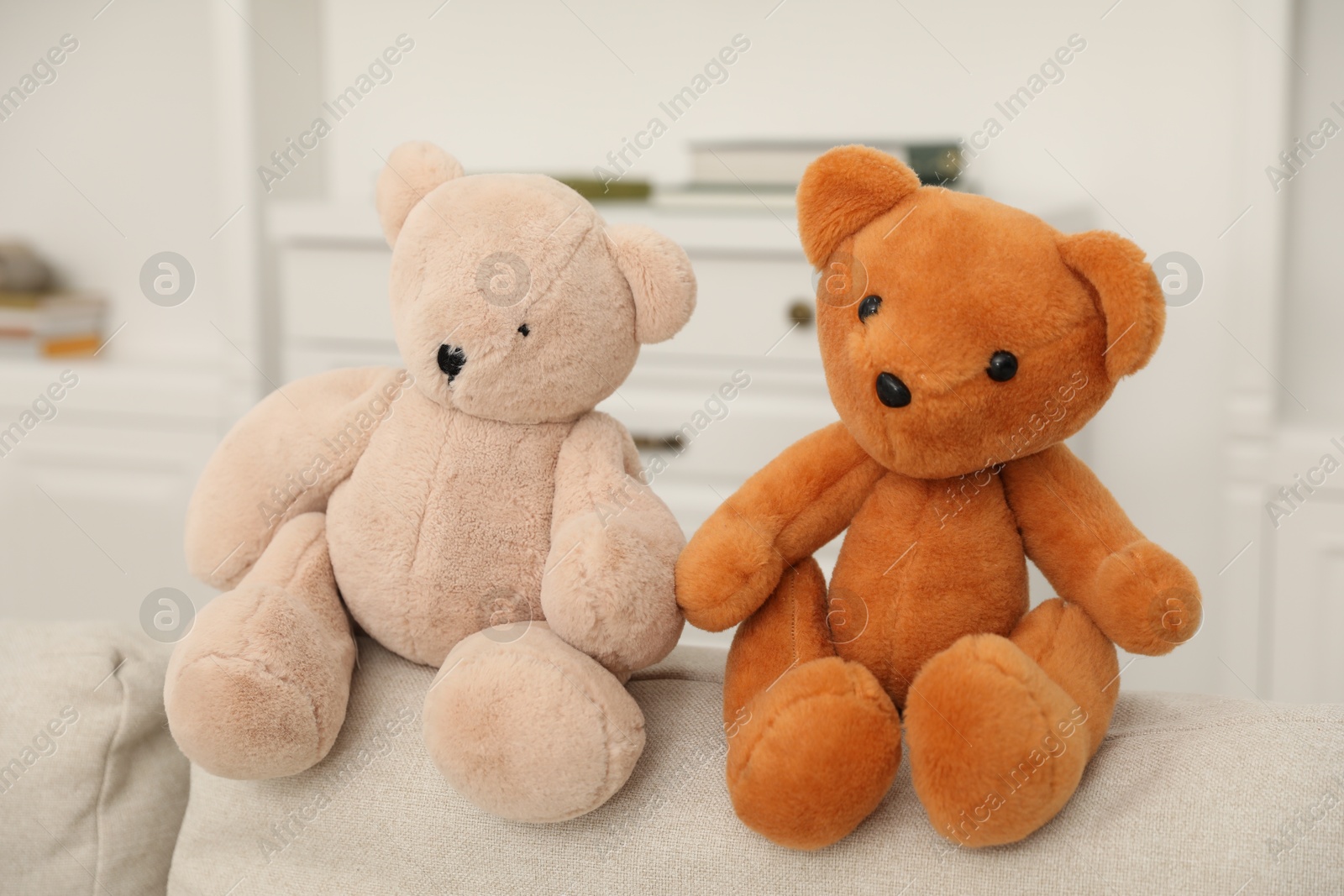 Photo of Cute teddy bears on sofa at home