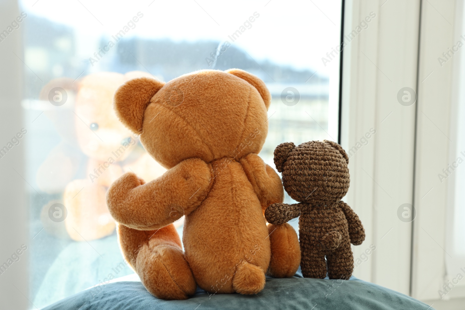 Photo of Two cute teddy bears near window indoors. back view