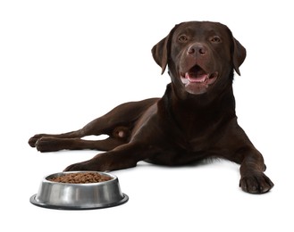 Photo of Cute dog lying near bowl of dry pet food on white background