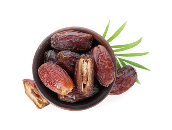 Photo of Tasty dried dates and leaf in bowl isolated on white, top view