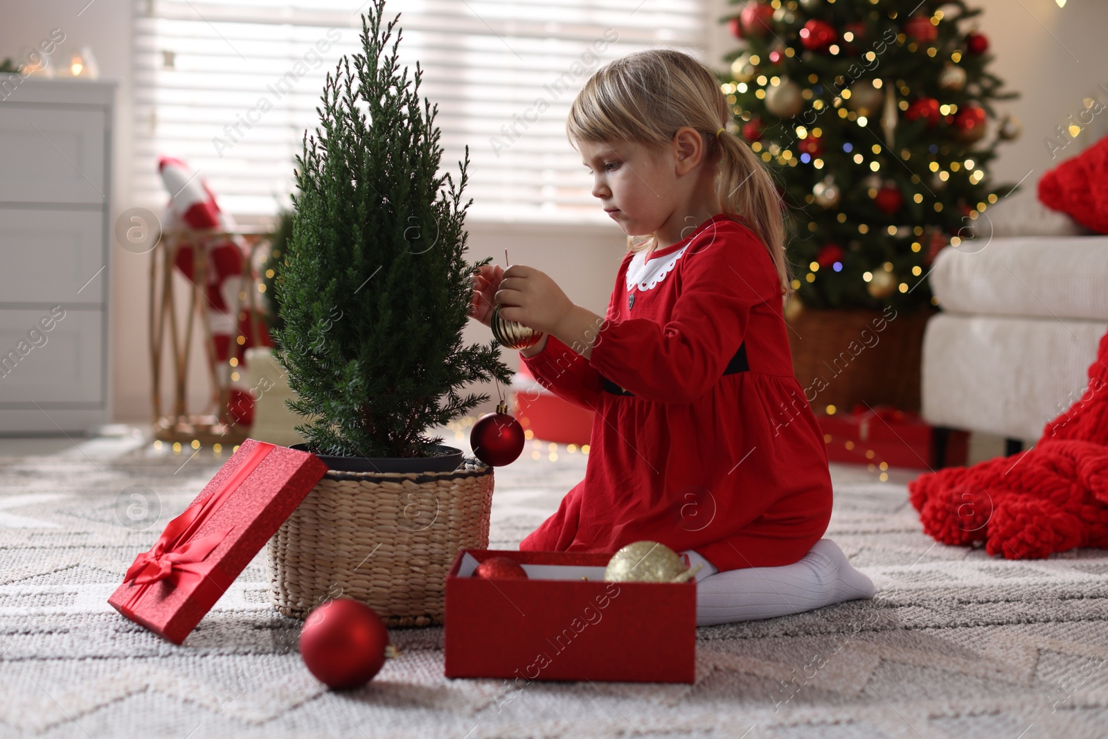 Photo of Little girl in Christmas costume with gift box decorating small tree at home