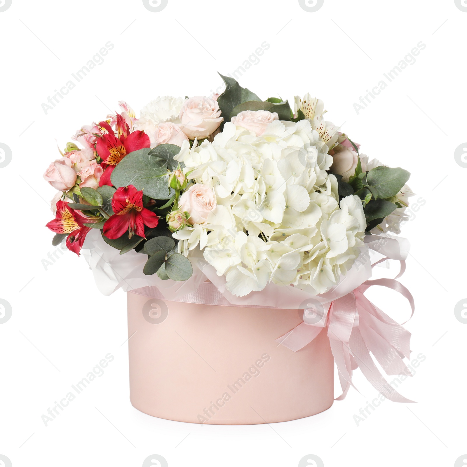 Photo of Bouquet of beautiful flowers in box isolated on white