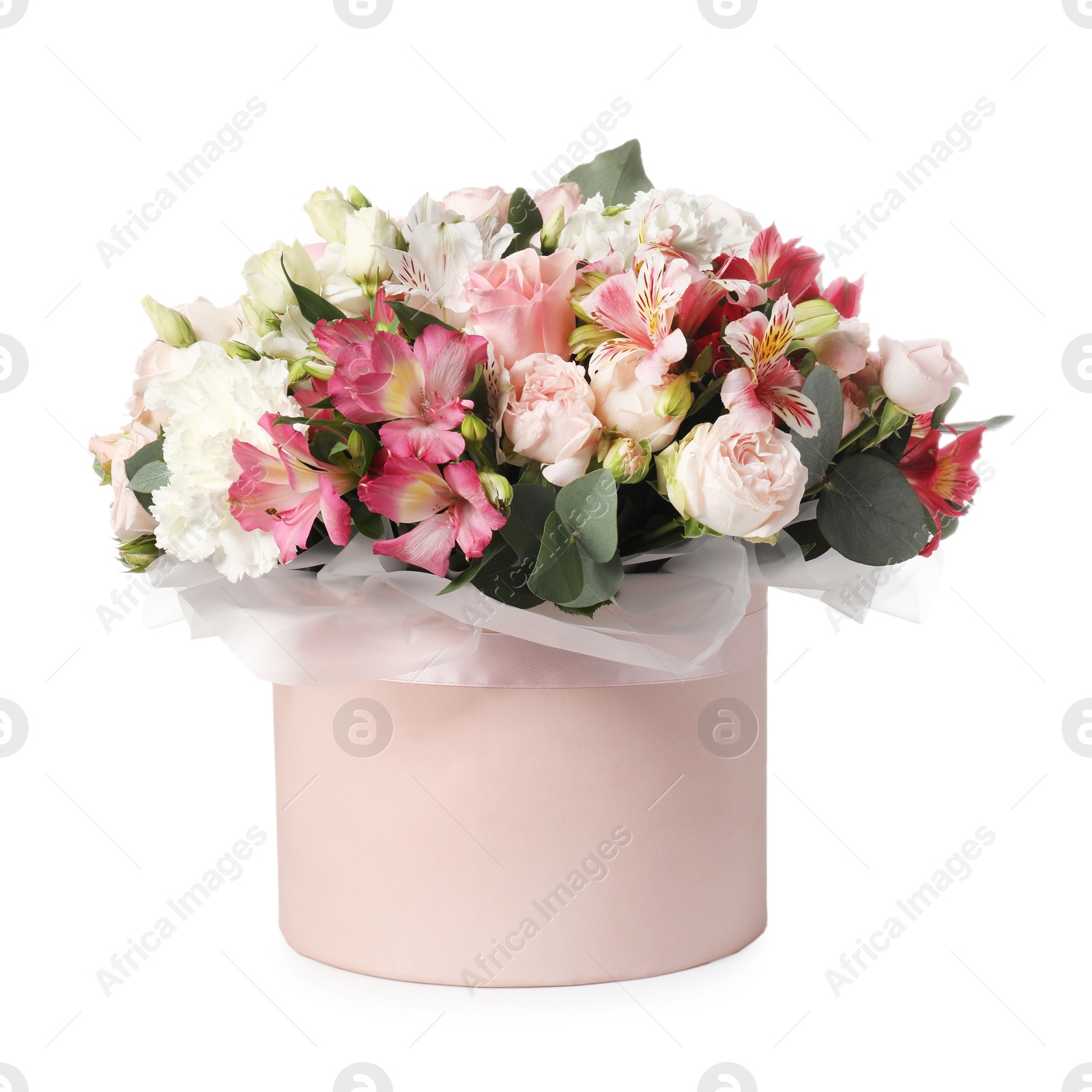 Photo of Bouquet of beautiful flowers in box isolated on white