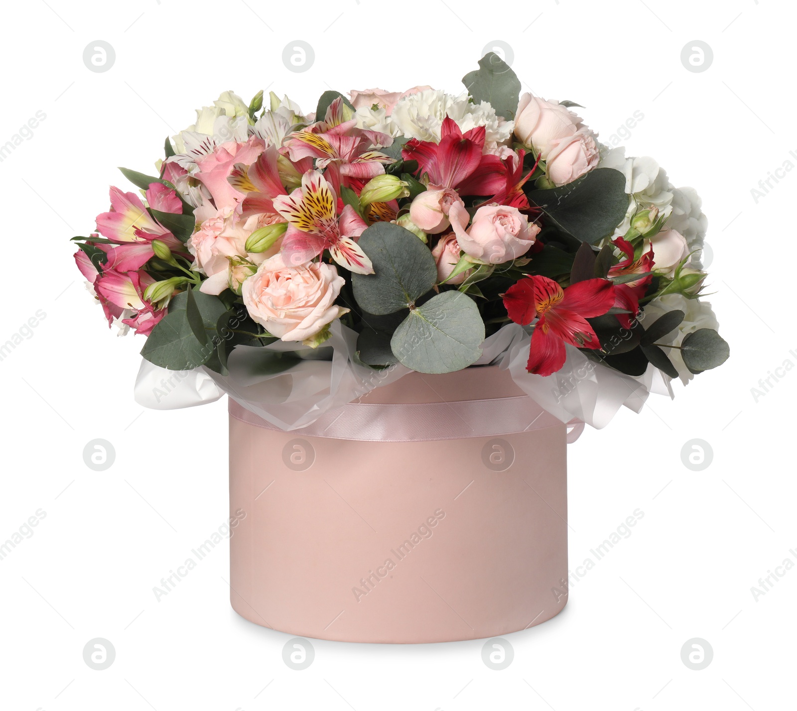 Photo of Bouquet of beautiful flowers in box isolated on white