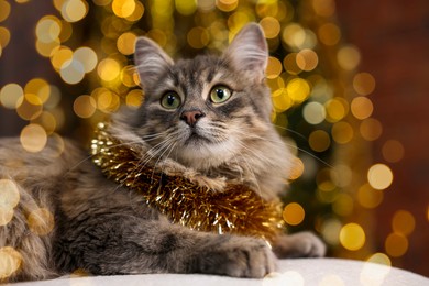 Photo of Cute cat with shiny Christmas tinsel on pouf against blurred lights, closeup. Bokeh effect