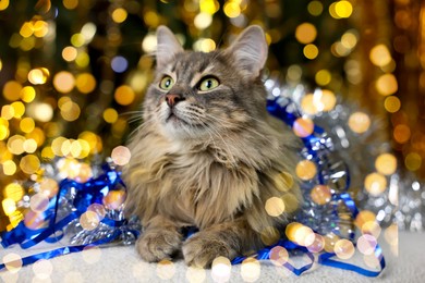 Photo of Cute cat with shiny tinsels on pouf against blurred lights. Christmas atmosphere