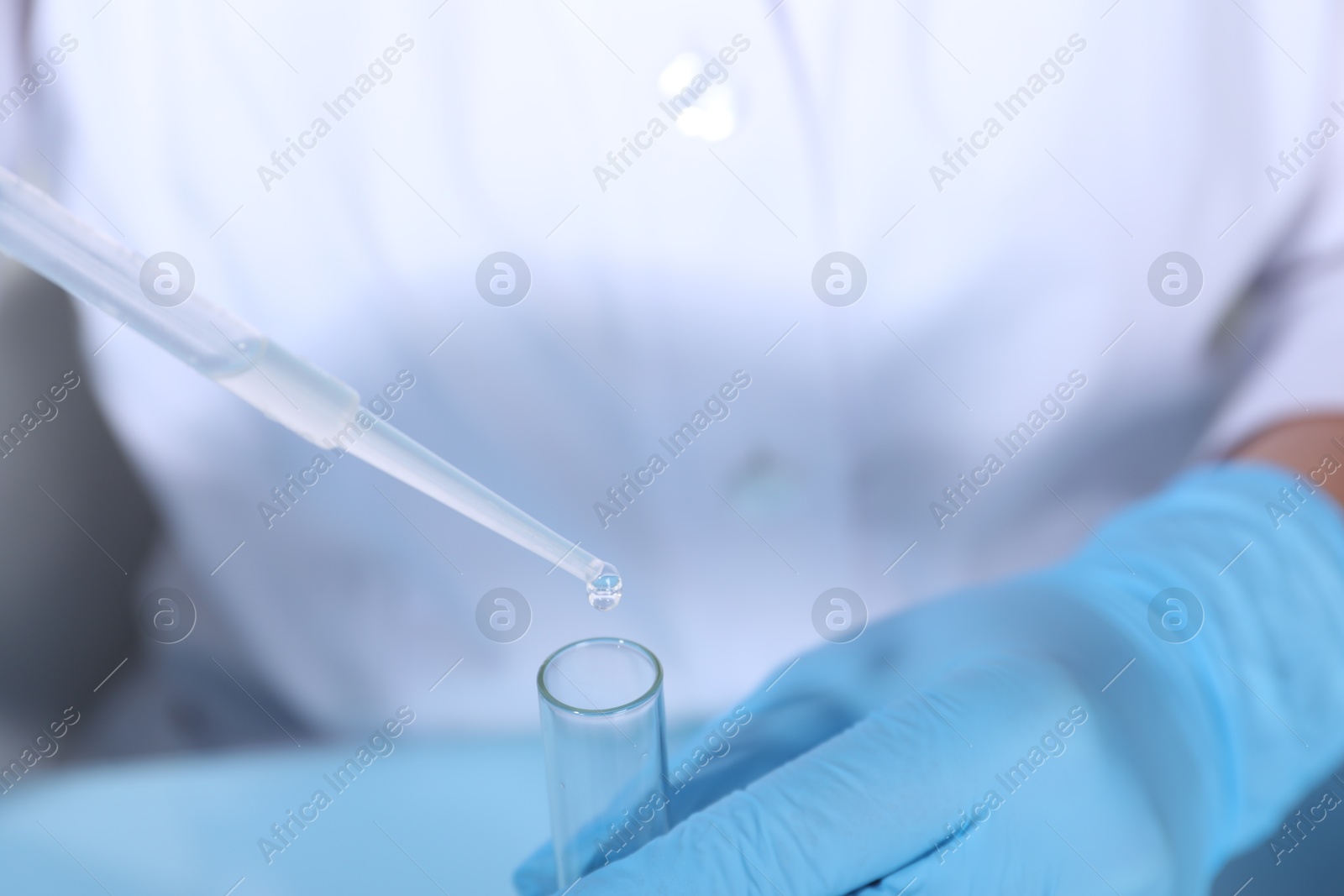 Photo of Laboratory testing. Scientist dripping sample from pipette into test tube, closeup