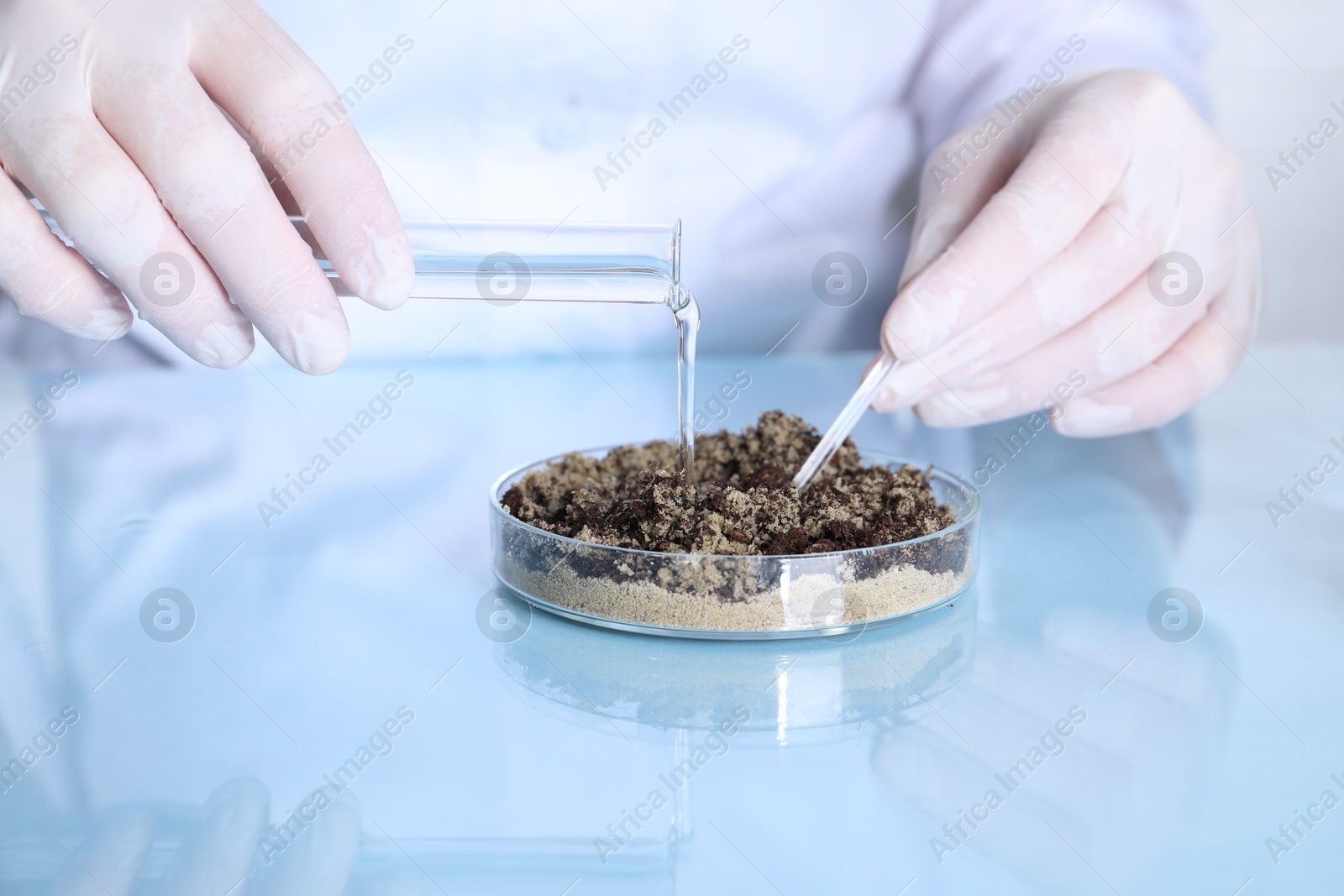 Photo of Laboratory testing. Scientist pouring liquid onto sand sample at table indoors, closeup