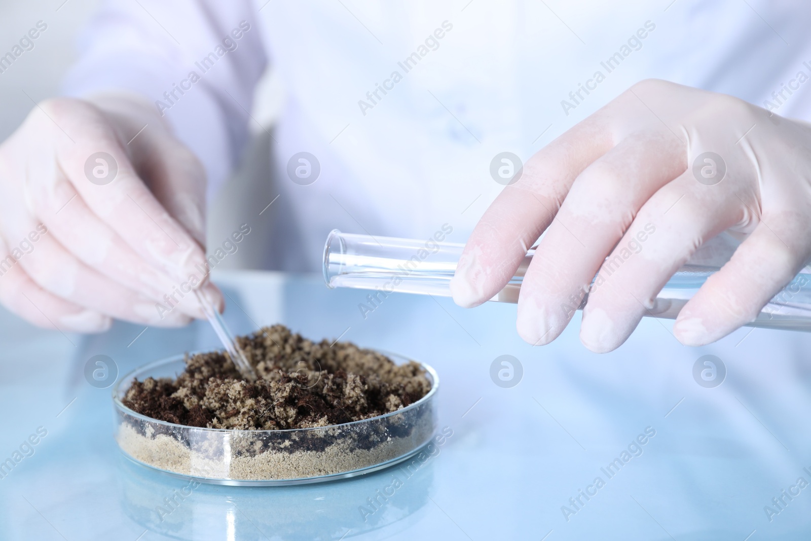 Photo of Laboratory testing. Scientist pouring liquid onto sand sample at table indoors, closeup