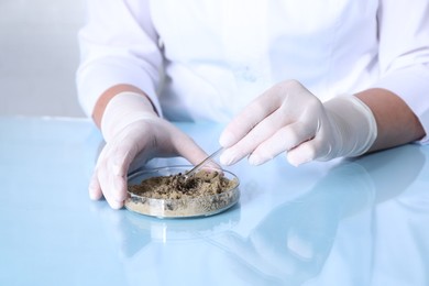 Photo of Laboratory testing. Scientist working with sand sample at table indoors, closeup