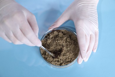 Photo of Laboratory testing. Scientist working with sand sample at table, top view