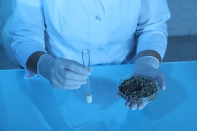 Photo of Laboratory testing. Scientist holding test tube of liquid and petri dish with sand sample at table indoors, closeup