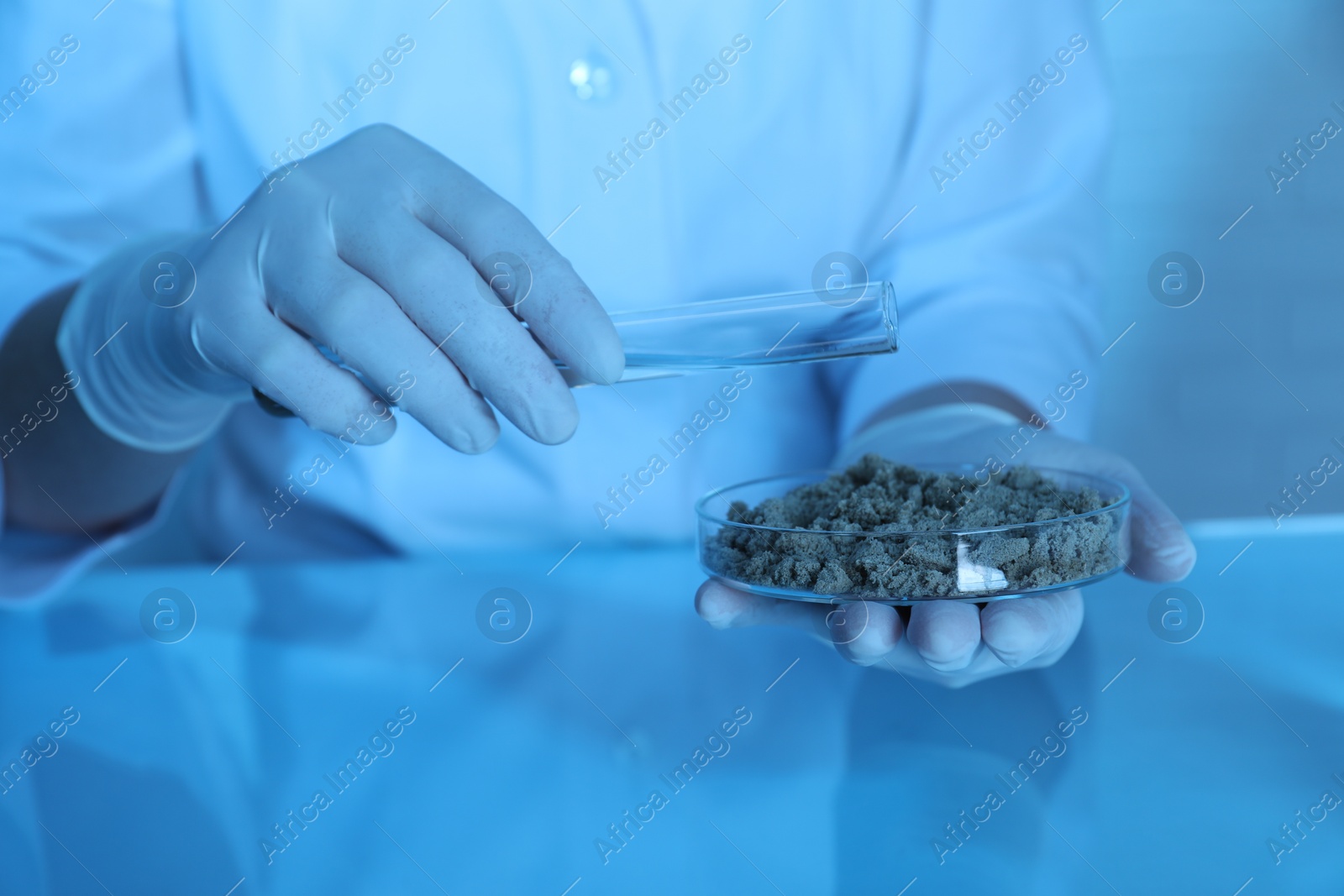 Photo of Laboratory testing. Scientist pouring liquid onto sand sample at table indoors, closeup