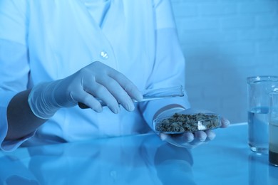 Photo of Laboratory testing. Scientist pouring liquid onto sand sample at table indoors, closeup