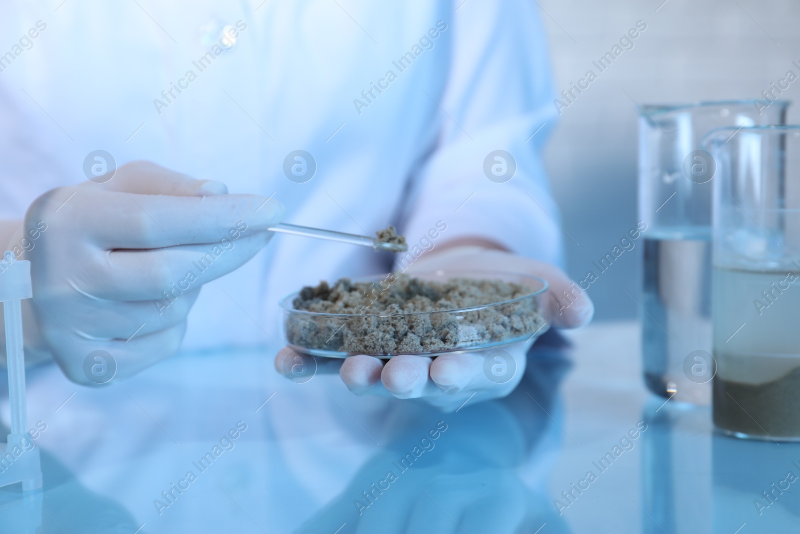 Photo of Laboratory testing. Scientist holding petri dish with sand sample at table indoors, closeup