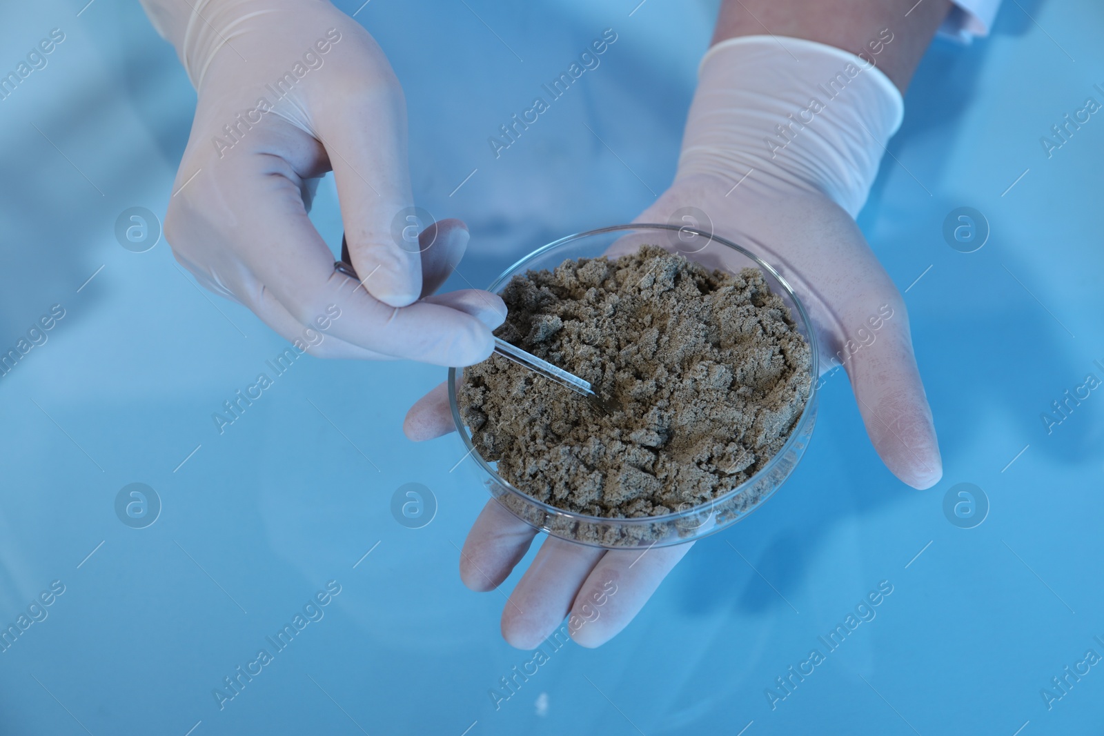 Photo of Laboratory testing. Scientist holding petri dish with sand sample at table, closeup