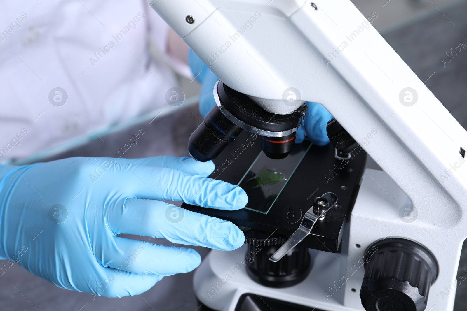 Photo of Laboratory testing. Scientist examining sample on slide under microscope indoors, closeup