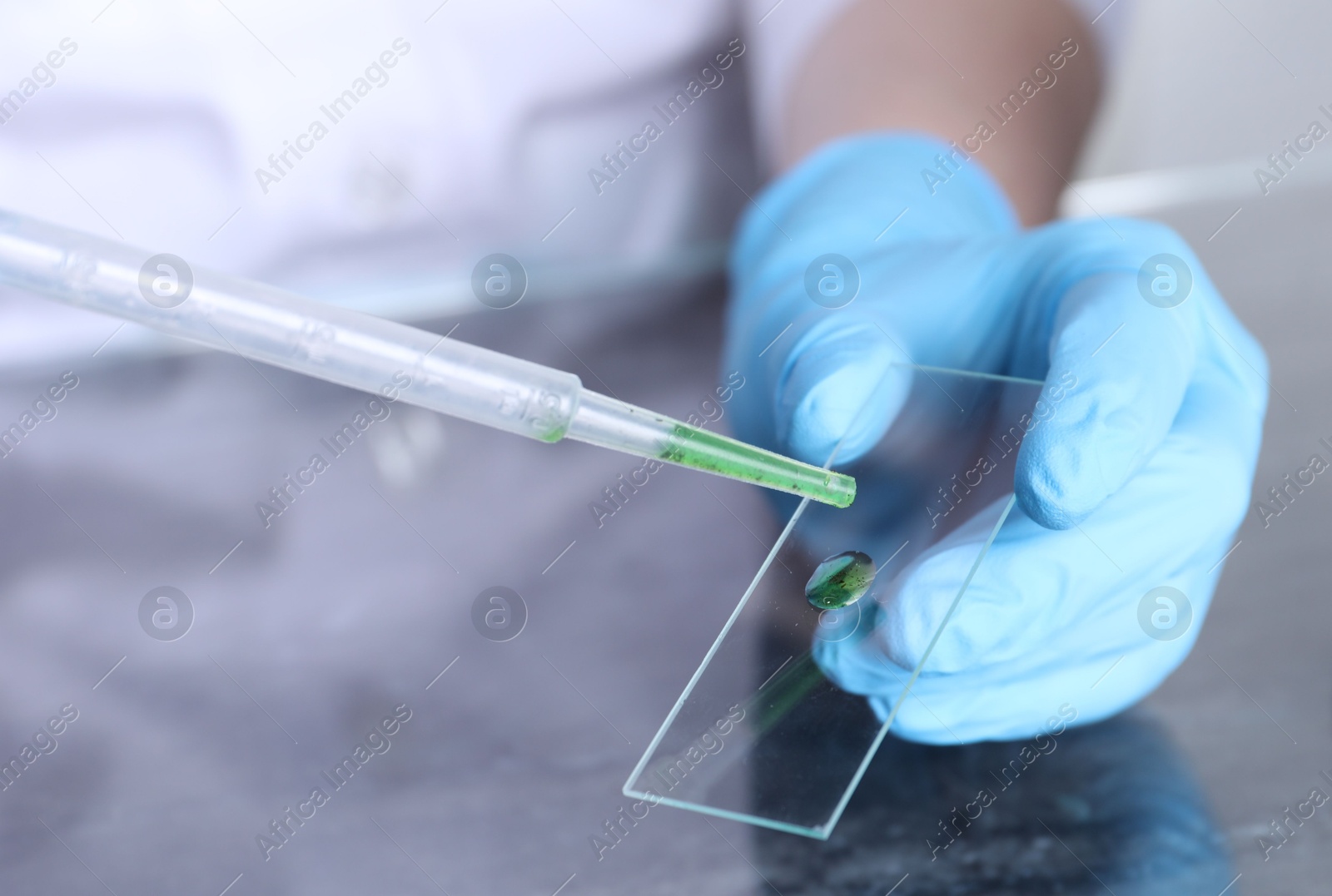 Photo of Laboratory testing. Scientist dripping sample onto glass slide at table, closeup