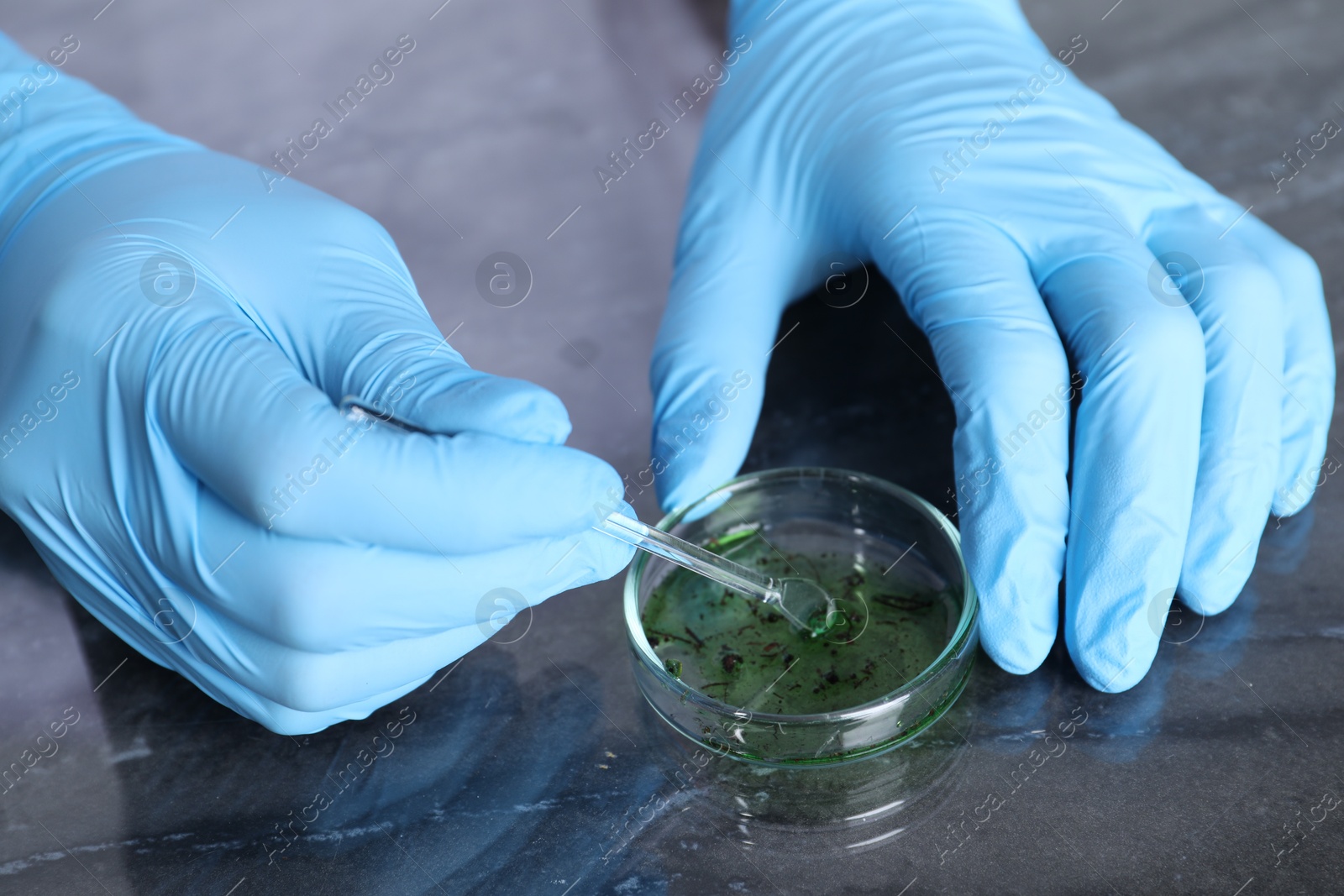 Photo of Laboratory testing. Scientist examining sample at table, closeup