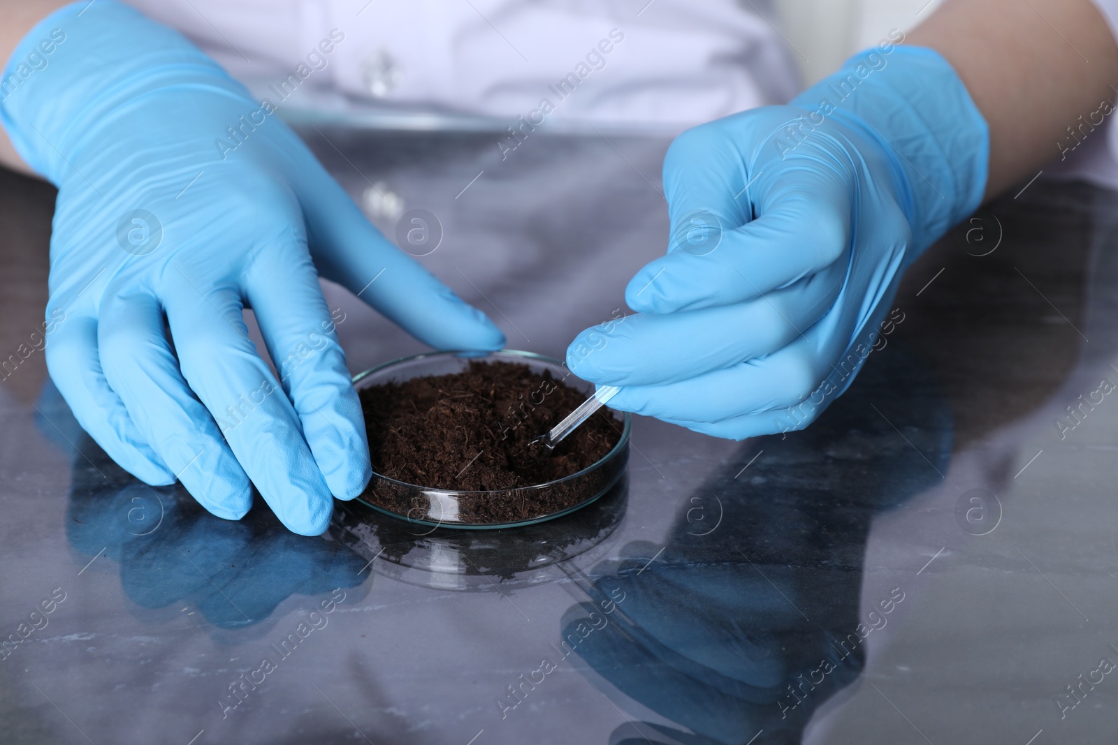 Photo of Laboratory testing. Scientist working with soil sample at table indoors, closeup