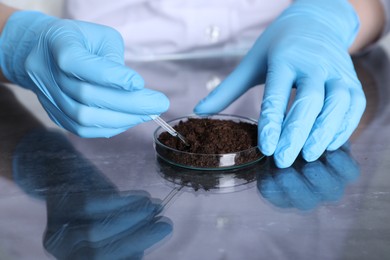 Photo of Laboratory testing. Scientist working with soil sample at table, closeup