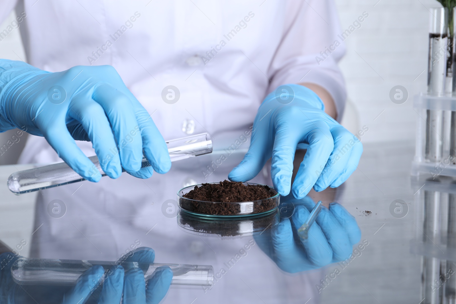 Photo of Laboratory testing. Scientist pouring liquid onto soil sample at table indoors, closeup