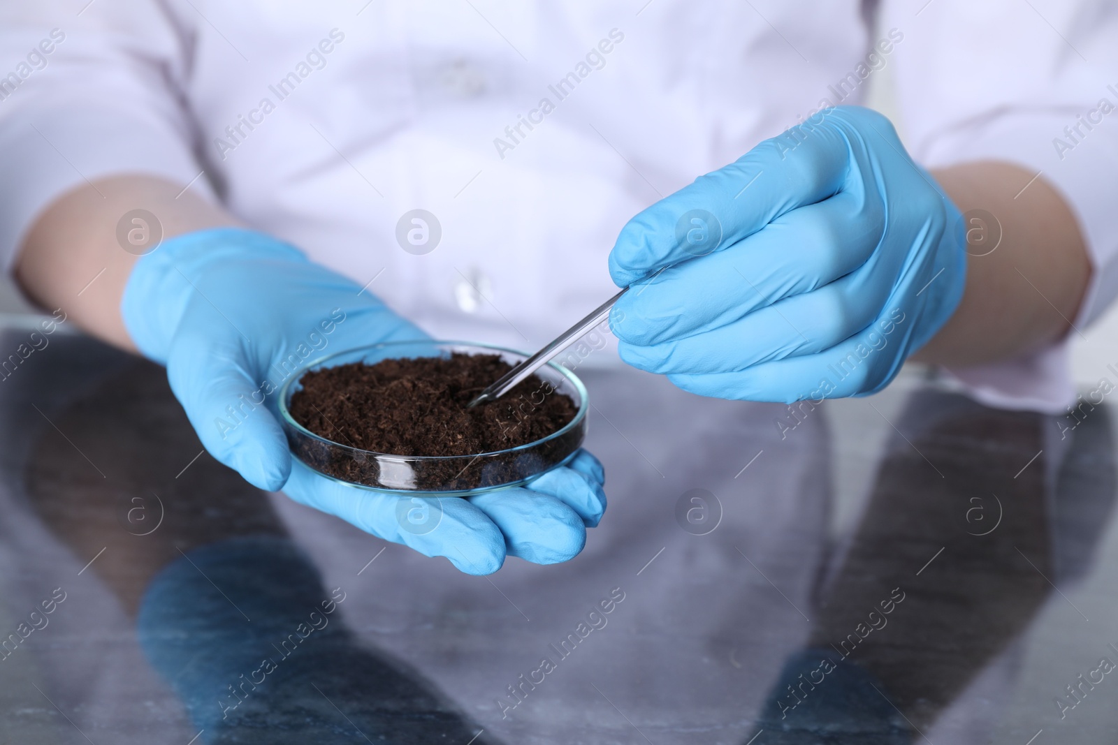 Photo of Laboratory testing. Scientist holding petri dish with soil sample at table, closeup