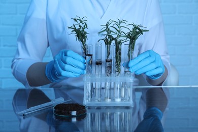 Photo of Laboratory testing. Scientist taking test tubes with rosemary from rack at table indoors, closeup