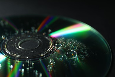 Compact disc with drops on black background, closeup view