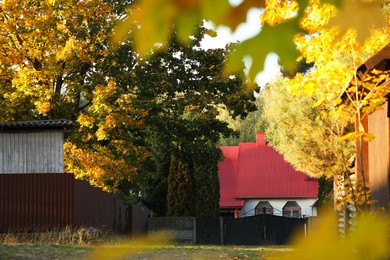 Photo of Buildings and beautiful trees with bright leaves in village