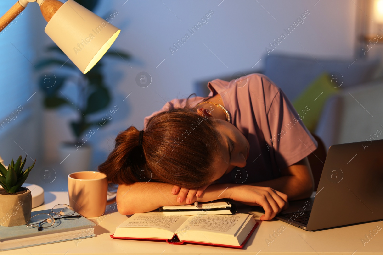 Photo of Preparing for exam. Tired student sleeping at table indoors